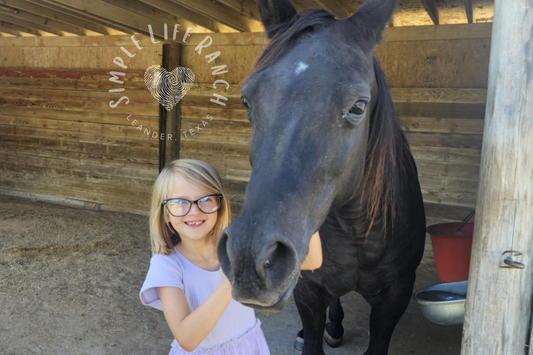 Animal Meet-and-Greet