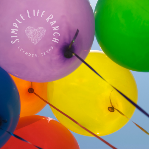 Balloon Bouquet Add-On
